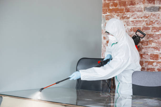 Best Residential Mold Inspection & Testing  in USA